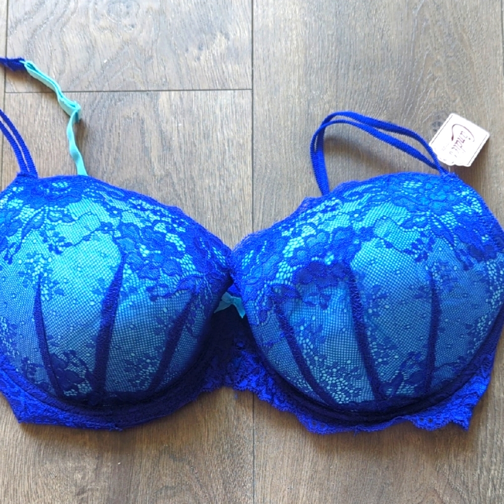 Blue + Teal Lace Bra 38DD NWT